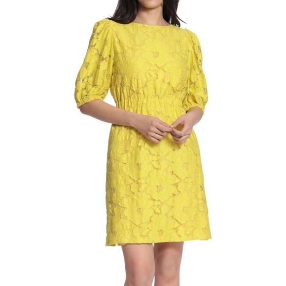 Nwt Maggy London Buttercup lace dress. Size 6 - Picture 2 of 4